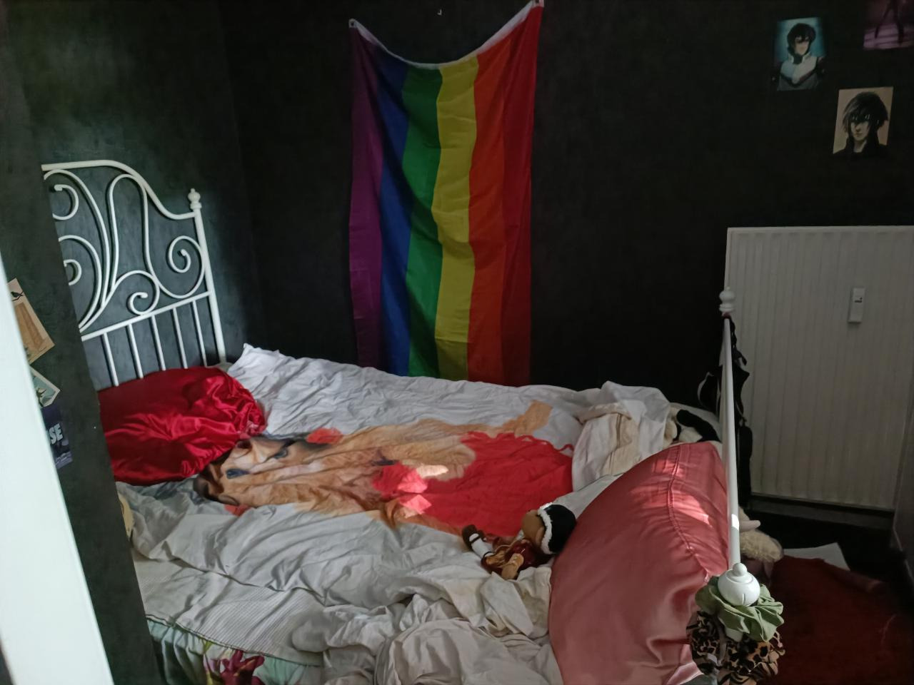 Planetenlaan in Groningen via Kamernet